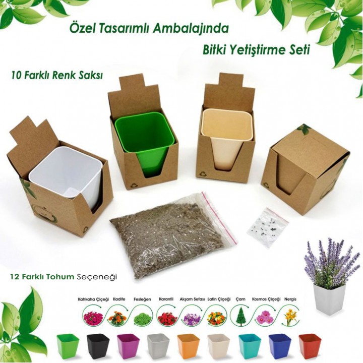 Kutulu Köşeli Promosyon Bitki Dikim Seti